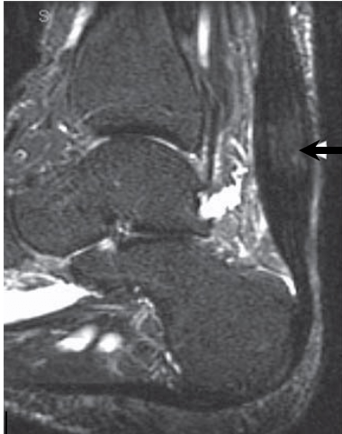 Screen Shot 2020-04-11 at 4.56.47 pm