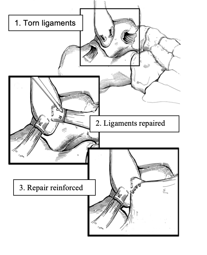Screen Shot 2020-04-11 at 4.58.51 pm