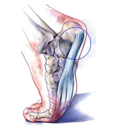 Screen Shot 2020-04-11 at 5.02.52 pm