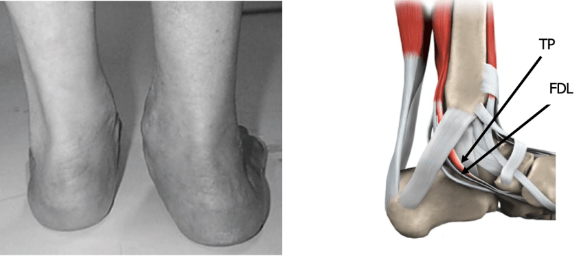 Screen Shot 2020-04-18 at 1.42.27 pm