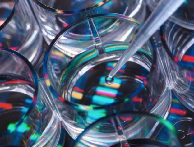 Screen Shot 2020-05-16 at 1.00.16 pm